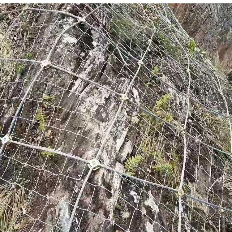 邊坡防護網(wǎng)生產廠家  山體滑坡防落石被動網(wǎng) 危巖攔截柔性環(huán)形網(wǎng)