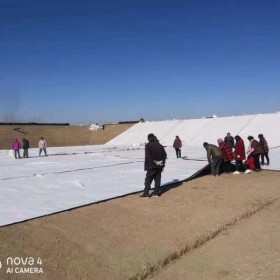 出口級天然鈉基膨潤土防水毯  景觀園林防滲 景觀湖防水毯  垃圾填埋場防水毯