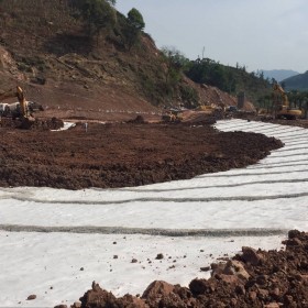 成都天然鈉基膨潤土防水毯   四川天然鈉基膨潤土防水毯  四川景觀湖專用防水毯 四川國標(biāo)景觀湖專用防水毯
