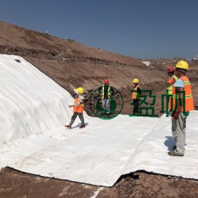 盈帆牌廠家直銷 人工湖防水毯  垃圾填埋場 達(dá)到國家標(biāo)準(zhǔn)