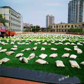 人造草坪足球場(chǎng)廠家直銷 成都人造草坪施工 四川人造草坪價(jià)格