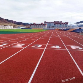 新國(guó)標(biāo)透氣型塑膠跑道施工透氣型塑膠跑道價(jià)格-透氣型塑膠跑道廠家-