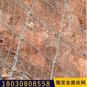 成都邊坡防護網(wǎng)批發(fā)廠家 紡落石邊坡防護網(wǎng)生產(chǎn)廠家