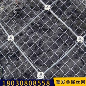 成都被動邊坡防護網(wǎng)廠家 高速公路邊坡防護網(wǎng)
