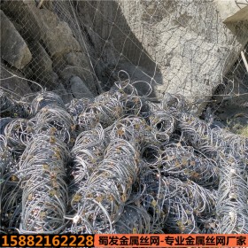 成都高速公路邊坡防護(hù)網(wǎng) 邊坡防護(hù)網(wǎng)定制廠家 主動(dòng)邊坡防護(hù)網(wǎng)批發(fā)