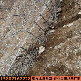 環(huán)形被動邊坡防護(hù)網(wǎng)   山體滑坡公路鋼絲繩護(hù)坡網(wǎng)   防落石網(wǎng)