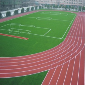 塑膠跑道設(shè)計(jì)施工售后一站式服務(wù) 全塑型噴面材料新國標(biāo)