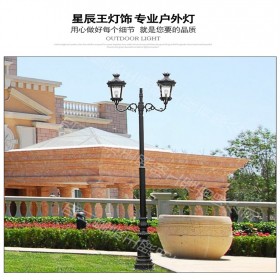 廠家直銷(xiāo)兩頭歐式庭院燈LED戶外路燈園林景觀燈 花園別墅燈具
