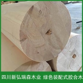 廠家定制 弧形膠合木結(jié)構(gòu) 機器開孔 標準機器生產(chǎn)