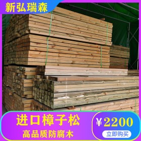 西藏防腐木木屋 專業(yè)包工重型木屋 生產(chǎn)防腐木廠家 新弘瑞森 價格實惠