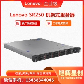 機架式服務器 入門財務服務器 聯(lián)想 ThinkSystem SR250機架式服務器 廣安服務器總代理