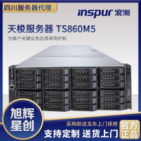 四川省浪潮服務器總經(jīng)銷商_項目服務器_浪潮天梭TS860M5機架式服務器_8路4U存儲服務器