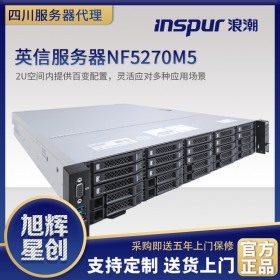 四川成都浪潮（INSPUR）NF5270M4\\M5 2U機(jī)架服務(wù)器主機(jī) 1*銅牌3204 6C 1.9G丨單電 16G丨4T SATA丨集成