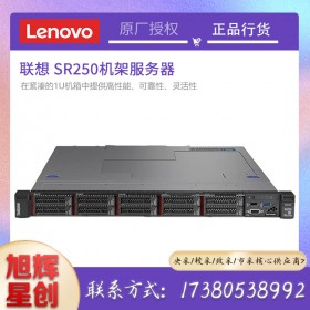 成都服務(wù)器總代理_Lenovo服務(wù)器總代理_四川聯(lián)想服務(wù)器總代理_聯(lián)想SR250企業(yè)級(jí)數(shù)據(jù)庫(kù)服務(wù)器