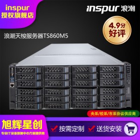新一代Purley平臺(tái)服務(wù)器_浪潮TS860M5定制服務(wù)器_原廠下單報(bào)備項(xiàng)目專(zhuān)用機(jī)架式服務(wù)器_四川浪潮總代理促銷(xiāo)報(bào)價(jià)