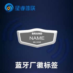 【星睿普聯(lián)/星網(wǎng)云聯(lián)】藍(lán)牙室內(nèi)定位 藍(lán)牙信標(biāo)廠家 藍(lán)牙電子標(biāo)簽 藍(lán)牙定位信標(biāo)