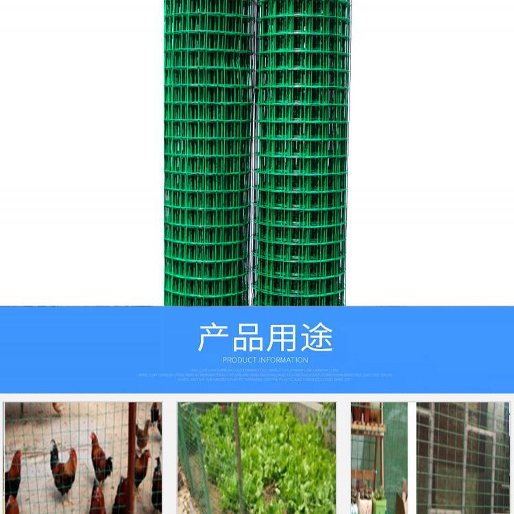 廠價直供浸塑電焊網(wǎng)，包塑鋼絲網(wǎng) 隔離網(wǎng) 養(yǎng)殖網(wǎng) 防鼠網(wǎng)