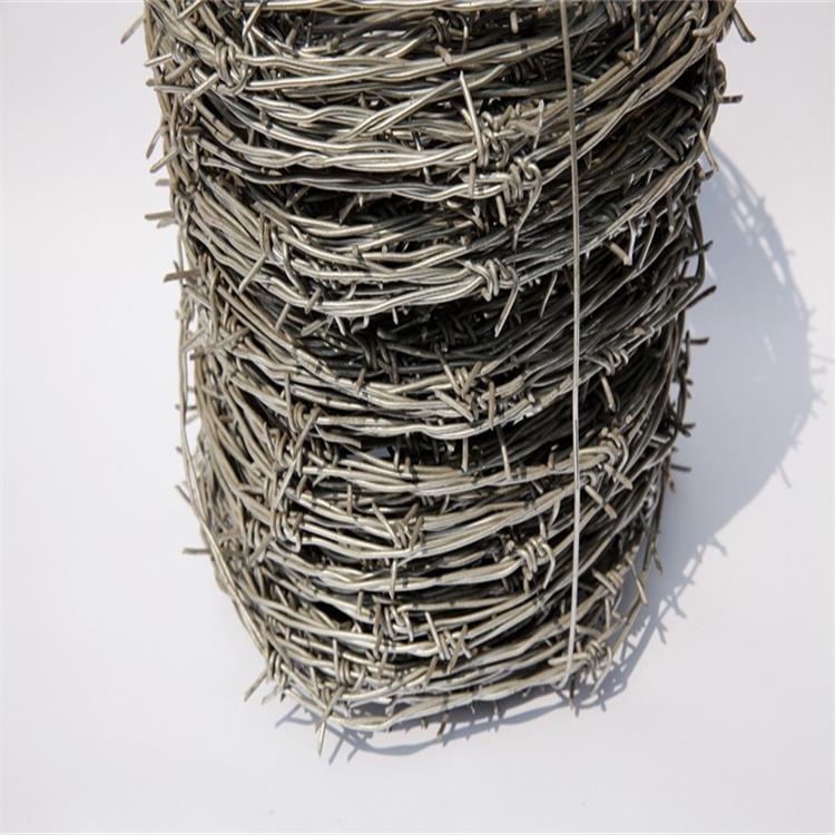 廠價現(xiàn)貨供應鍍鋅絲刺繩 小區(qū)防盜網(wǎng)隔離熱鍍鋅刀刺網(wǎng) 刺繩網(wǎng)