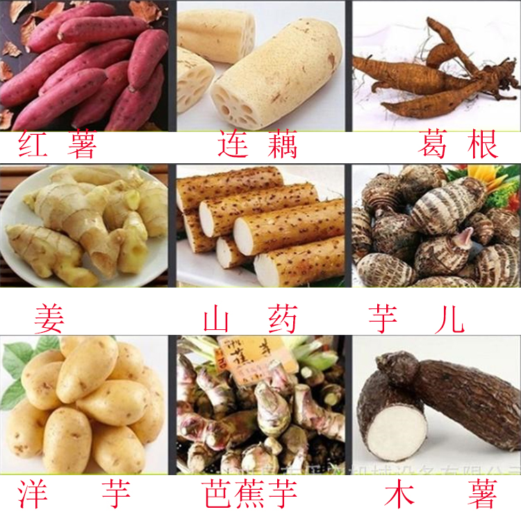 粉絲樣品