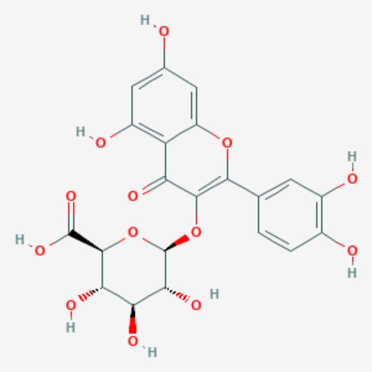 槲皮素-3-葡萄糖醛酸苷