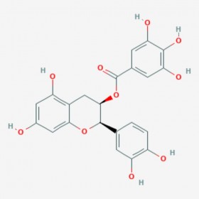 表兒茶素沒食子酸酯 (-)-Epicatechin gallate 1257-08-5 C22H18O10