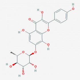 草質(zhì)素苷 Rhodionin 85571-15-9 C21H20O11