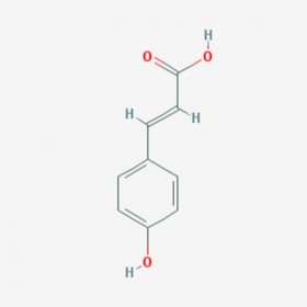 對(duì)羥基肉桂酸 Hydrocinnamic acid 501-52-0 C9H10O2