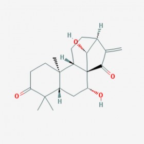 藍(lán)萼甲素 Glaucocalyxin A 79498-31-0 C20H28O4