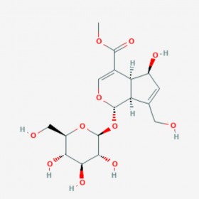 去乙?；嚾~草苷酸甲酯  6α-hydroxygeniposide 52613-28-2 C17H24O11