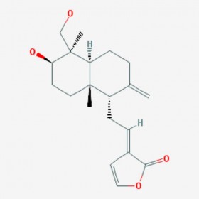 脫水穿心蓮內(nèi)酯 Dehydroandrographolide 134418-28-3 C20H28O4