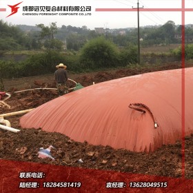 專業(yè)定制紅泥沼氣池 沼氣袋 廠家直銷可實地驗廠
