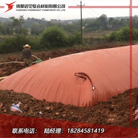 專業(yè)定制紅泥沼氣池 沼氣袋 廠家直銷可實(shí)地驗(yàn)廠