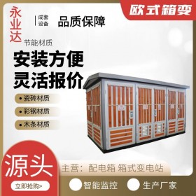 高原箱式變電站 630kva箱變 南充箱式變電站廠家 永業(yè)達