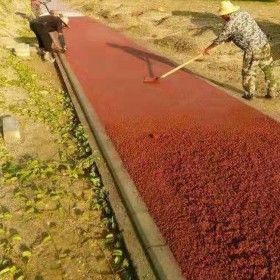 攀枝花市彩色透水混凝土地面施工價(jià)格   透水混凝土如何施工  透水混凝土道路廠家 彩色壓?；炷翉S家 透水混凝土原材料有哪些 廠家免費(fèi)施工指導(dǎo) 送貨到工地