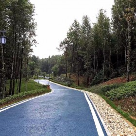 透水混凝土路面 生態(tài)透水混凝土 彩色透水混凝土地坪 廠家報價