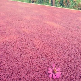 周口市 小區(qū)彩色混凝土 生態(tài)透水地坪 透水性混凝土 露石子彩色混凝土 專業(yè)生產材料廠家報價