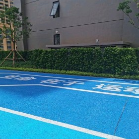 濰坊市 混凝土透水地坪 生態(tài)透水混凝土 彩色整體透水地面 專(zhuān)業(yè)廠(chǎng)家提供