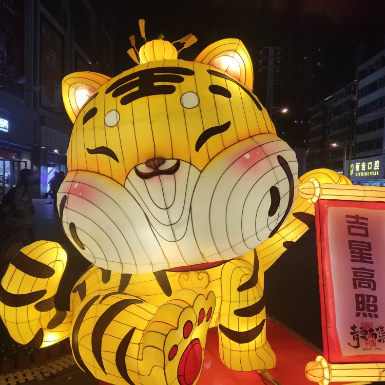 景點游玩裝飾景觀燈 節(jié)日慶祝春節(jié)彩燈 承接大小花燈定做