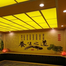 四川省美容院汗蒸房 家用鹽蒸房 專(zhuān)業(yè)免費(fèi)上門(mén)設(shè)計(jì)安裝承建 智恒汗蒸房裝修