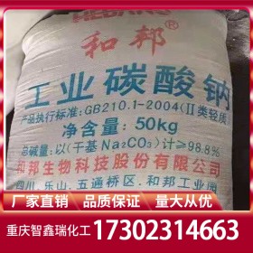 碳酸鈉廠家直供 純堿廠家價(jià)格批發(fā) 工業(yè)級食品級