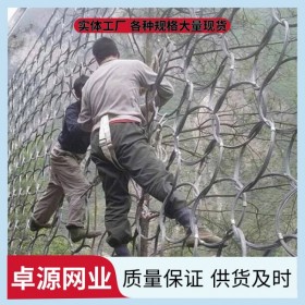 卓源綠化邊坡防護(hù)網(wǎng) SNS落石攔截網(wǎng) 落石坍塌主被動(dòng)網(wǎng)