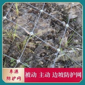 成都主動邊坡防護網(wǎng) 纏繞型邊坡防護網(wǎng) 主被動邊坡防護網(wǎng)廠家