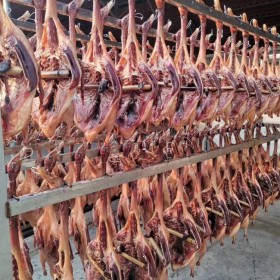 四川板鴨烘干機(jī)生產(chǎn)廠(chǎng)家 西部大旗 支持定做